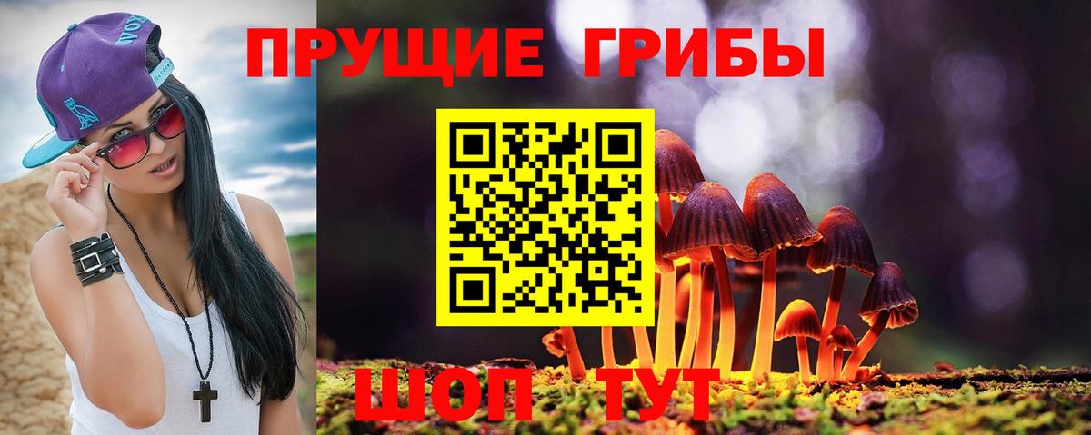 Галлюциногенные грибы прущие грибы Орск